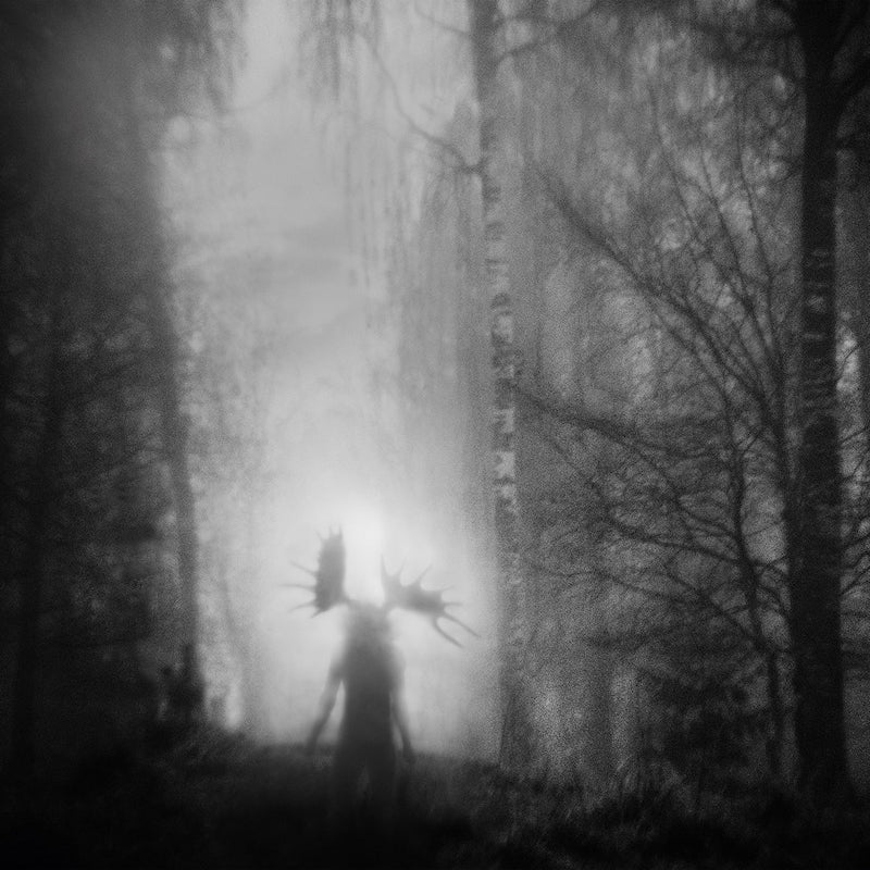 Iterum Nata - From the infinite light (CD)