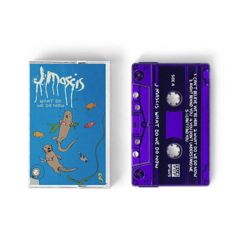 J Mascis - What do we do now (muziekcassette) - Velvet Music