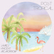 James Vincent Mcmorrow - Post tropical (CD)