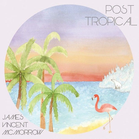 James Vincent Mcmorrow - Post tropical (LP) - Velvet Music