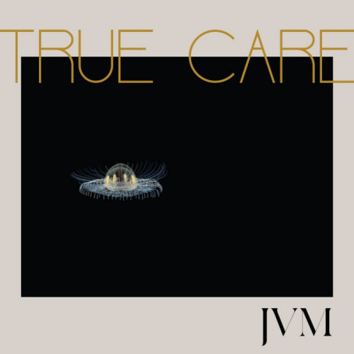 James Vincent Mcmorrow - True care (LP) - Velvet Music
