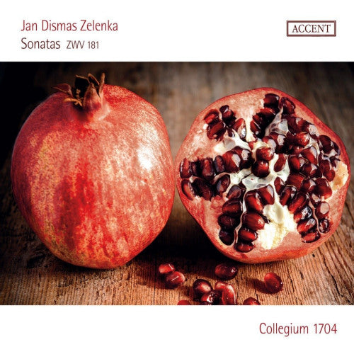 Frieder Bernius - Sonatas zwv181 (CD) - Velvet Music