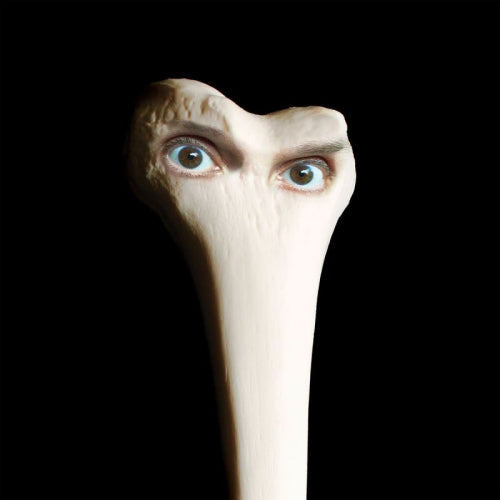 Juana Molina - Halo (LP) - Velvet Music