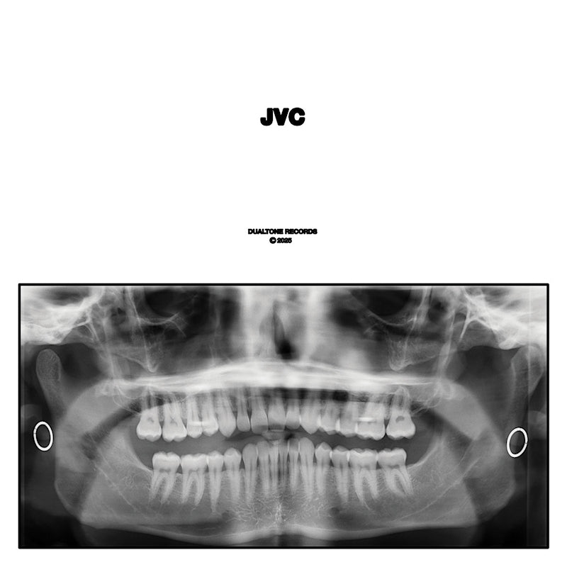 Jack Van Cleaf - Jvc (LP) - Velvet Music