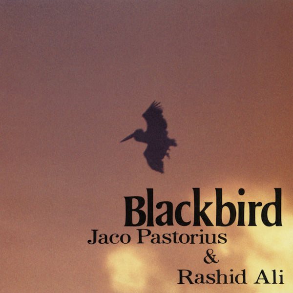 Jaco Pastorius &amp; Rashied Ali - Blackbird (CD)