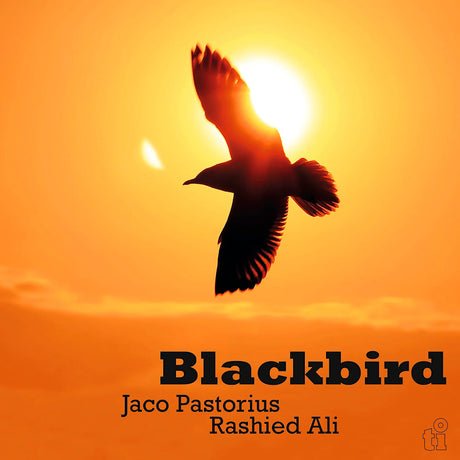 Jaco Pastorius & Rashied Ali - Blackbird (LP)