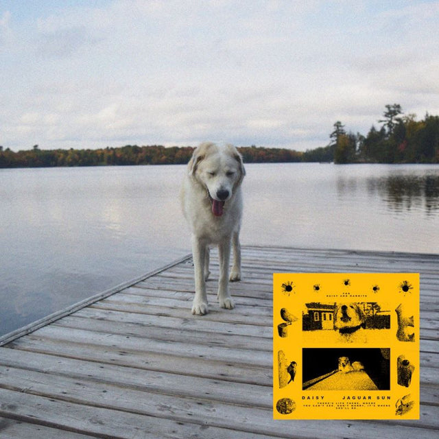 Jaguar Sun - Daisy (CD) - Velvet Music