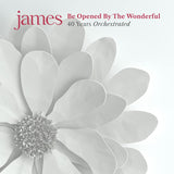 James - Be opened by the wonderful (LP) - Velvet Music