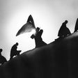 James Blake - Playing robots into heaven (LP) - Velvet Music