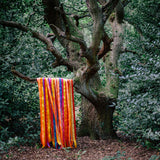 James Holden & The Animal Spirits - The animal spirits (LP) - Velvet Music