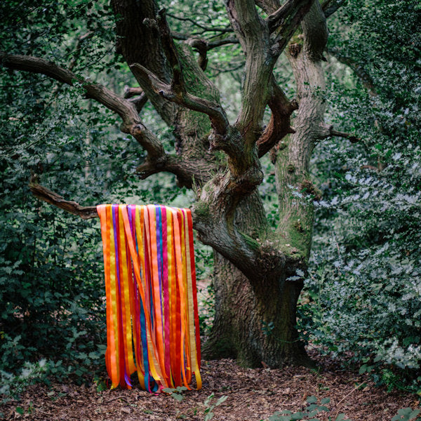 James Holden & The Animal Spirits - The animal spirits (LP) - Velvet Music