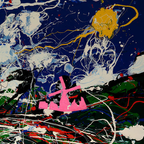 James Holden - The idiots are winning (LP) - Velvet Music