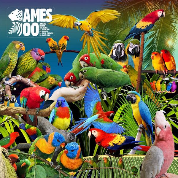 Jameszoo - Guanyin psittacines (12-inch maxi-single) - Velvet Music