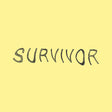 Jan Verstraeten - Survivor (destiny's child cover) (7-inch single) - Velvet Music