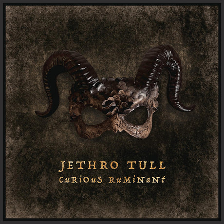Jethro Tull - Curieux ruminant (LP)