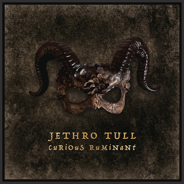 Jethro Tull - Curious ruminant (LP) - Velvet Music