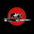 Jim Jones All Stars - Cat fight (CD) - Velvet Music