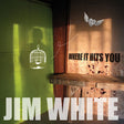 Jim White - Where it hits you (LP) - Velvet Music
