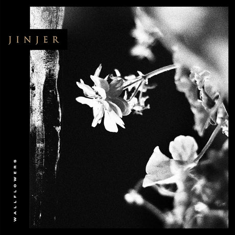 Jinjer - Wallflowers (CD) - Velvet Music