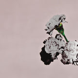 John Legend - Love in the future -special edition- (CD)