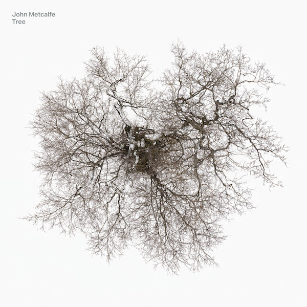 John Metcalfe - Tree (CD) - Velvet Music