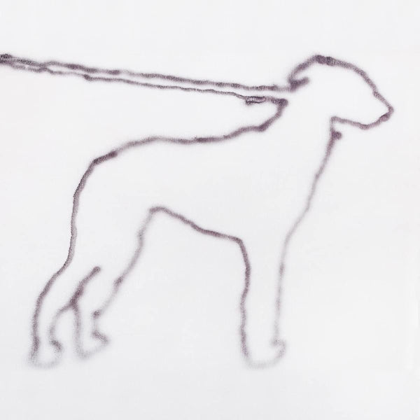 Jonah Yano - Portrait of a dog (LP) - Velvet Music