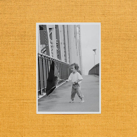 Jordan Rakei - Wallflower (LP) - Velvet Music