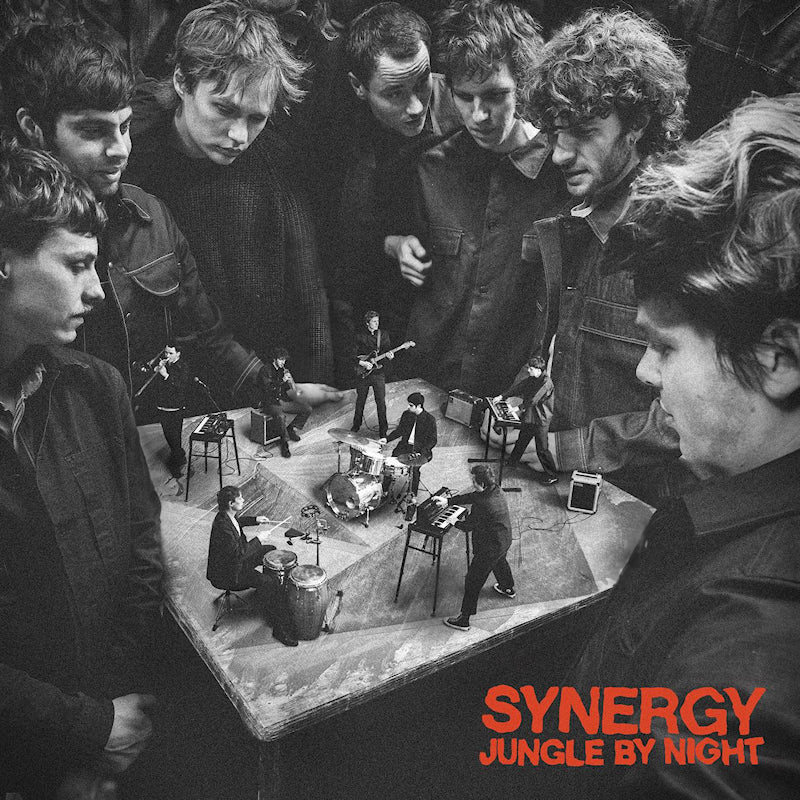 Jungle By Night - Synergy (LP) - Velvet Music
