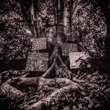 Kamasi Washington - Harmony of difference (CD)