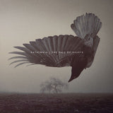 Katatonia - Fall of hearts (LP) - Velvet Music