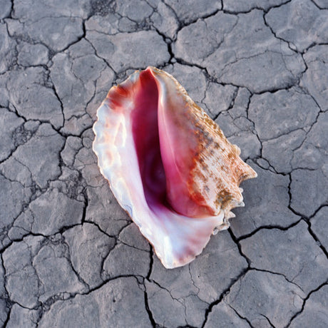 The Killers - Wonderful wonderful -gatefold- (LP) - Velvet Music