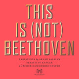 Arash Safaian & Sebastian Knauer & Zurcher Kammerorchestr - This is (not) beethoven (CD) - Velvet Music