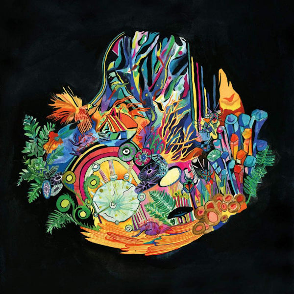 Kaitlyn Aurelia Smith - EARS (LP)
