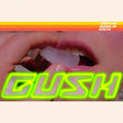 Kaitlyn Aurelia Smith - Gush (LP) - Velvet Music