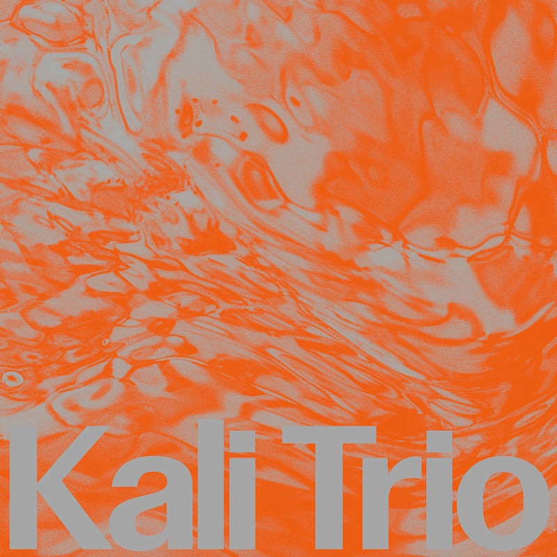 Kali Trio - The playful abstract (CD)