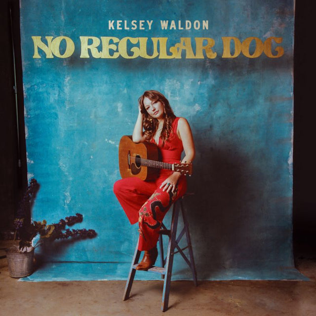 Kelsey Waldon - No regular dog (CD) - Velvet Music