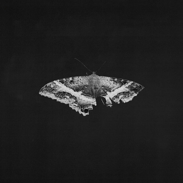 Kendrick Lamar - To pimp a butterfly (LP) - Velvet Music