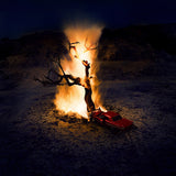 Kerala Dust - Violet drive (LP) - Velvet Music
