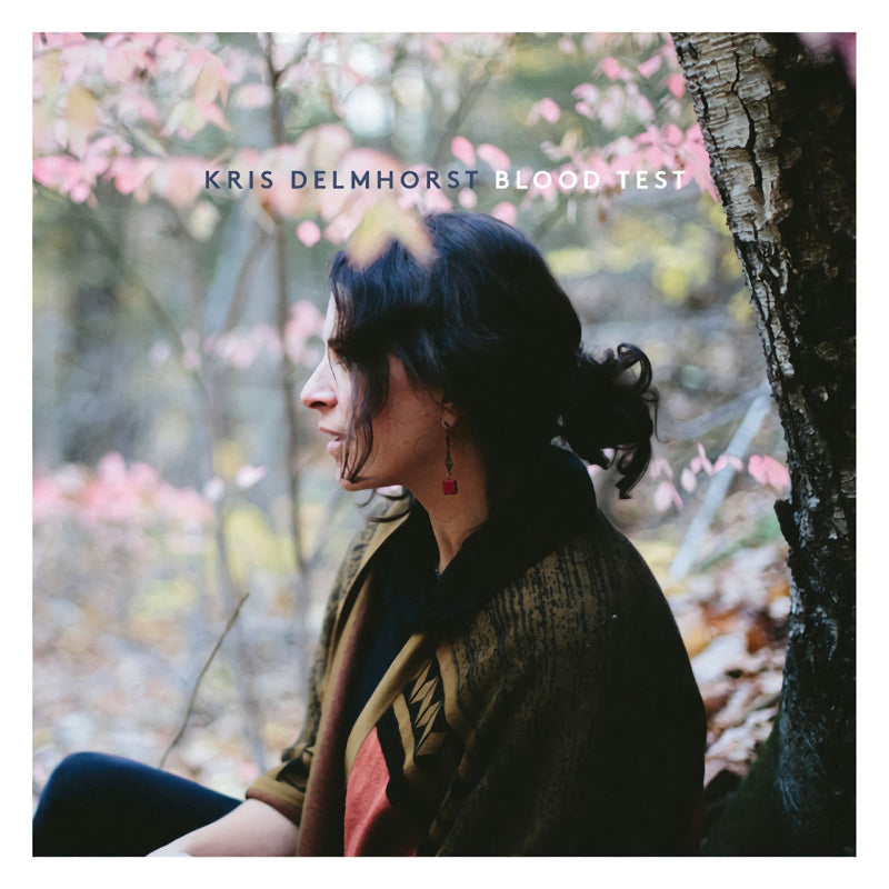 Kris Delmhorst - Blood test (CD)