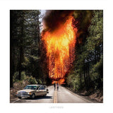 Ladytron - Ladytron (LP) - Velvet Music