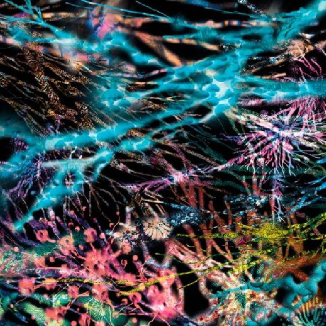 Lcsm (likwid Continual Space Motion) - The remedy (LP) - Velvet Music