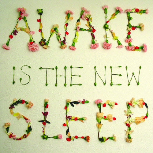 Ben Lee - Awake is the new sleep (CD) - Velvet Music