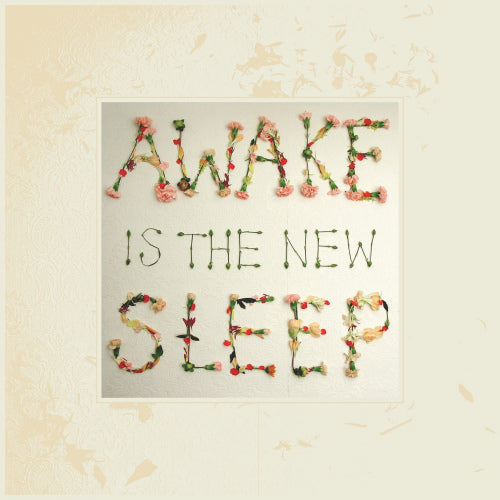 Ben Lee - Awake is the new sleep (LP)