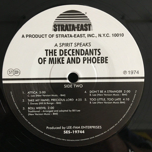 Descendants Of Mike And Phoebe, The - A Spirit Speaks (LP) - Velvet Music