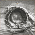 LLNN - Deads (CD) - Velvet Music