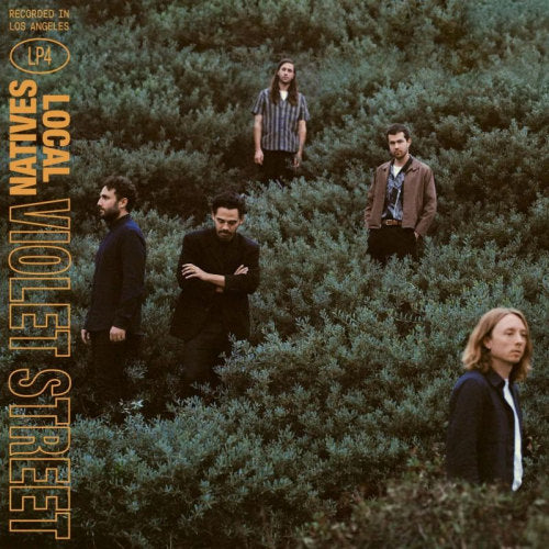 Local Natives - Violet street (LP) - Velvet Music
