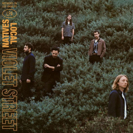 Local Natives - Violet street (CD)