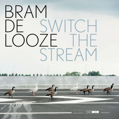 Bram De Looze - Switch the stream (LP)
