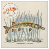 Nick Lowe - Lay it on me (CD) - Velvet Music