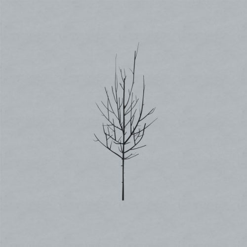 Low - Ones and sixes (LP) - Velvet Music